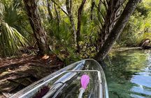 Private Crystal Clear 2 HR Kayak/Paddle Rental on Rainbow River