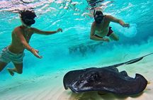 El Cielo Cozumel Snorkel Private Excursion and Beach Club