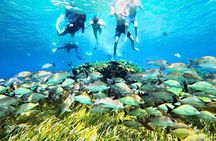 El Cielo Cozumel Snorkel Private Excursion and Beach Club