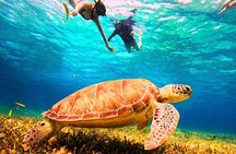 El Cielo Cozumel Snorkel Private Excursion and Beach Club