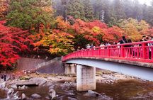 Tiger Creek Mountain, Eihoji Temple & Korankei Tour: From Nagoya