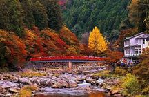 Tiger Creek Mountain, Eihoji Temple & Korankei Tour: From Nagoya