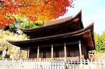 Tiger Creek Mountain, Eihoji Temple & Korankei Tour: From Nagoya