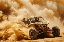 Desert Safari Experience from Dubai