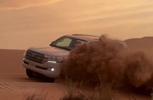 Desert Safari Experience from Dubai