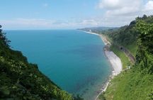 Mtirala National Park & Botanical Garden / Tour From Batumi
