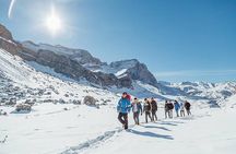 Baku : Guba-Shahdag-Cand Mountain Tour