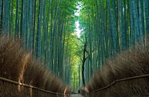 From Osaka-Kyoto: Kyoto and Nara 1Day Bus Tour