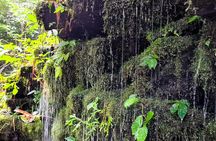 Bali’s Mystical Jungle Trek & Hidden Waterfall Adventure