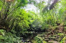Bali’s Mystical Jungle Trek & Hidden Waterfall Adventure