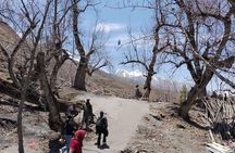 6 Day Mustang 4WD Jeep with Chitwan Jungle Safari Tour