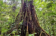 Bali’s Mystical Jungle Trek & Hidden Waterfall Adventure