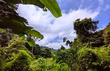 Bali’s Mystical Jungle Trek & Hidden Waterfall Adventure