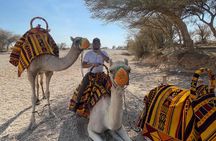 Riyadh City Tour with Camel Riding