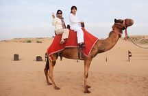 Guided Tour at Starlit Desert with Transportation 