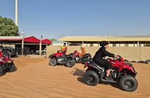 Guided Tour at Starlit Desert with Transportation 