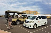 Chobe Day Trip Livingstone to Botswana