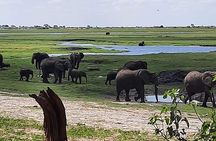 Chobe Day Trip Livingstone to Botswana