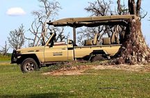 Chobe Day Trip Livingstone to Botswana
