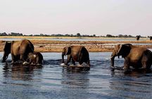 Chobe Day Trip Livingstone to Botswana
