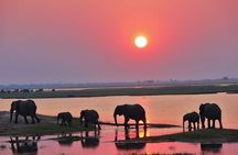 Chobe Day Trip Livingstone to Botswana