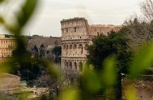 Last Minute Colosseum Tour With Local Guide 