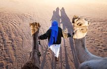 Sharm Desert Escape ATV Quad, Camel, Bedouin Dinner & Night Show