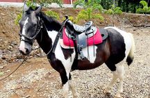 Volcano Tenorio Rio Celeste Horseback Adventures Tour Max 7 Guest