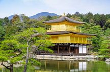 Kyoto: Private City Highlights Tour by Car
