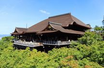 Kyoto: Private City Highlights Tour by Car