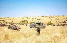 4 Days Lake Nakuru and Masai Mara Luxury Safari
