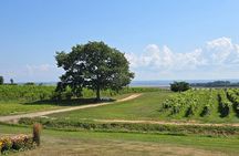 Private Wine Tours from Halifax 