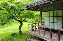 Private Car Nikkko Tour from Tokyo