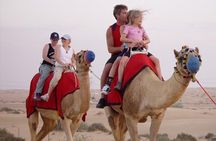Dubai Private Morning Desert Safari Dune Bashing, Camel Ride, ATV