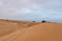 Agadir Jeep Safari 4x4 Desert Adventures with Lunch