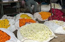 Jaipur: Shopping Tour with Blue Poetry & Printing Workshop & Rugs