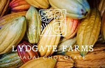Kauai Chocolate Farm Tasting Tour 