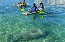 Morning Kayak Tour in Condado Lagoon