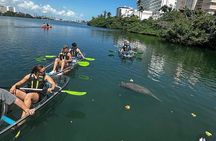 Morning Kayak Tour in Condado Lagoon
