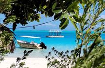 Bora Bora Half Day Manu Lagoon Excursion