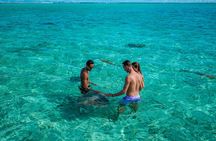 Half-Day Bora Bora Experience with Fruits on Motu Fanfan