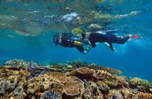 Cairns Half Day Tour a Great Barrier Reef Snorkeling Experience