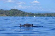 Bocas del Toro Island Hopping Day Tour in Zapatilla Beach