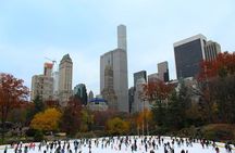 Ice Skating at Central Park plus St Patrick's Cathedral Tour