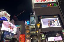 Tokyo Private City Tour 