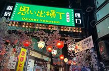 Tokyo Private City Tour 