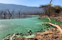 Private Day Tour to Lake Bogoria from Nairobi