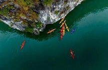 Jade Sails Cruise: Top Choice for a Luxurious Lan Ha Bay Day Trip