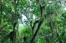 Munduk: Tamblingan jungle trek, waterfall, Ulun Danu temple