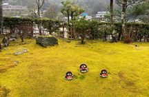 Kyoto Shore Excursion from Osaka with Japanese Guide